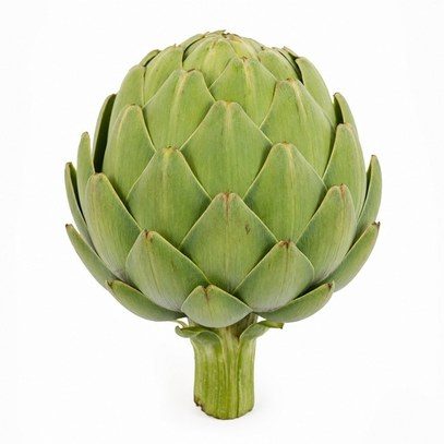 Artichoke